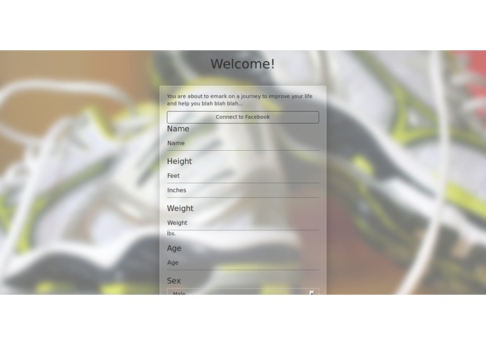 FitLife – screenshot 1