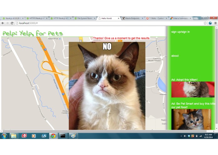 Pelp – screenshot 2