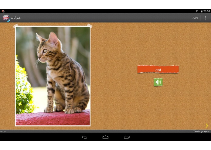 English for Kids FREE – screenshot 6