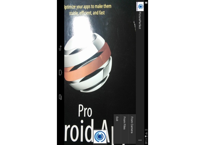 Picture Perfect – screenshot 2