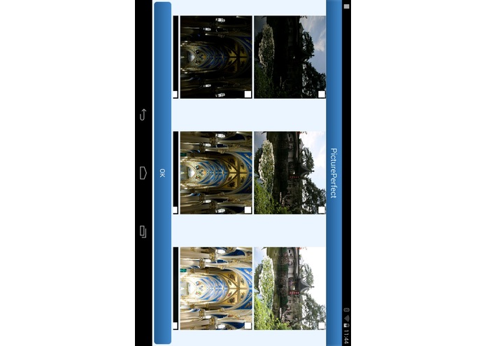 Picture Perfect – screenshot 4