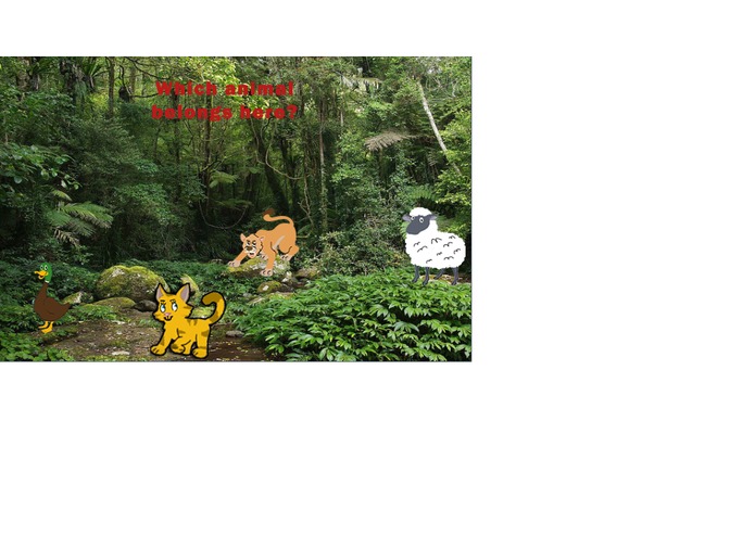 Animal Quiz – screenshot 1