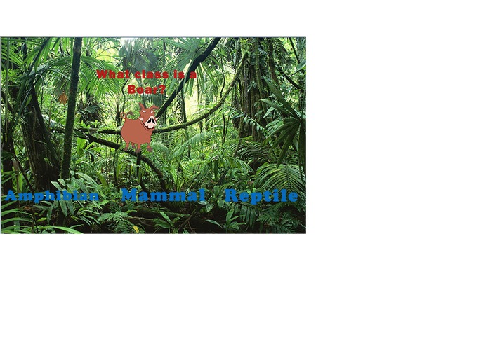 Animal Quiz – screenshot 2