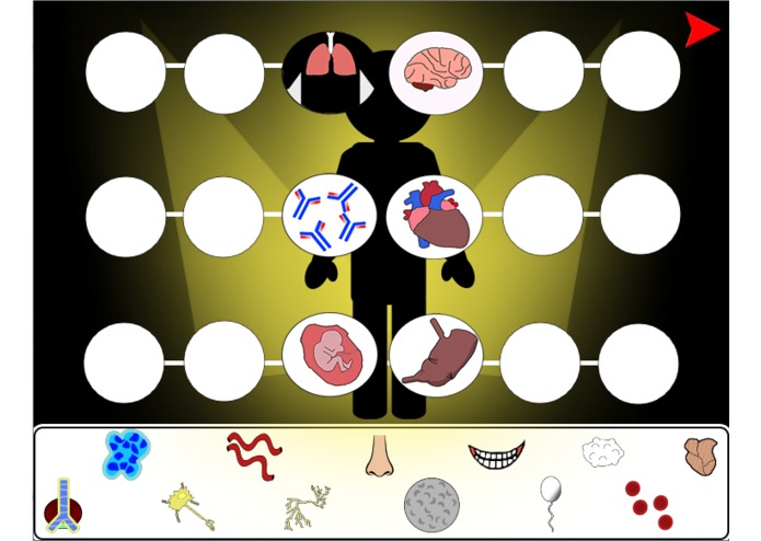 Anatomy Academy  – screenshot 2