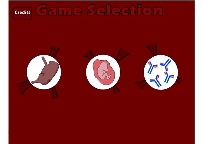 Anatomy Academy  – screenshot 3