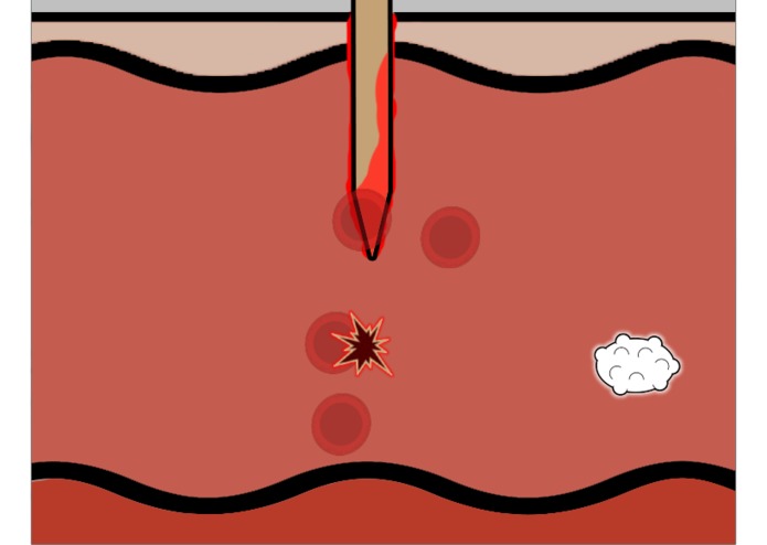 Anatomy Academy  – screenshot 4