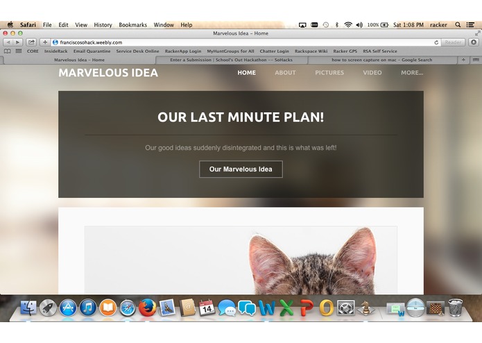 Cats Galore  – screenshot 1