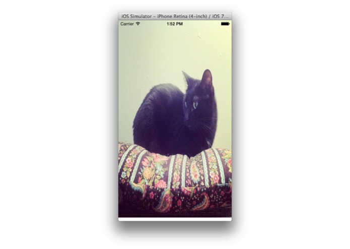My CATS – screenshot 1