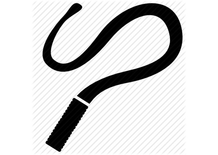 WhipApp – screenshot 1