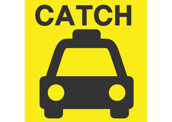 Catch! Taxi – screenshot 1