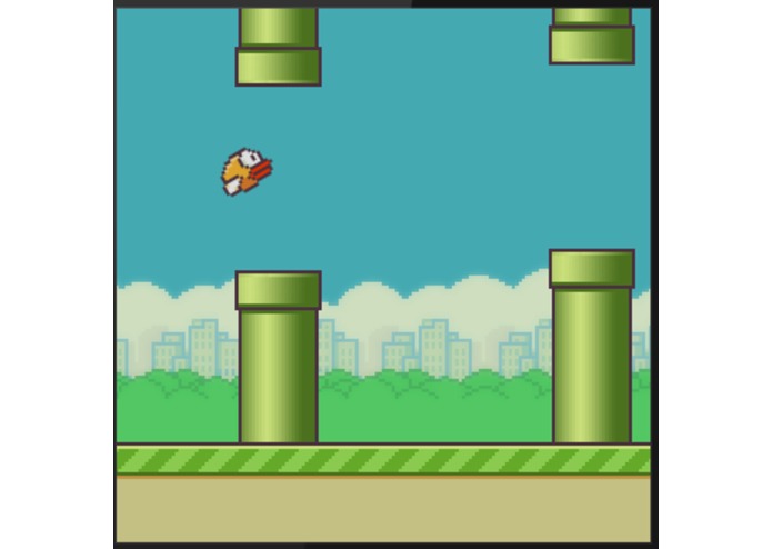 Floopy Bird – screenshot 4