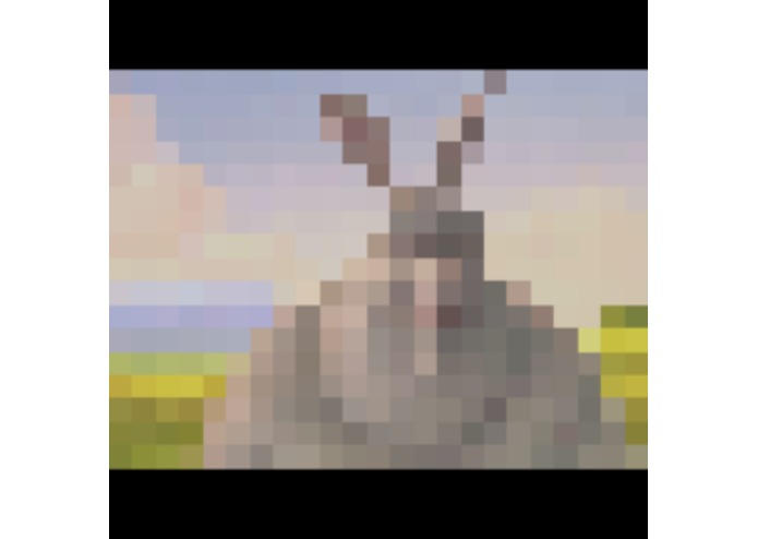 Pixelit – screenshot 3