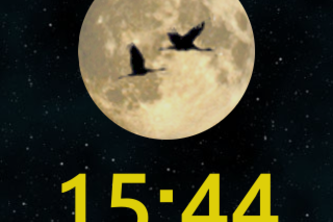 RN Lunar Widget