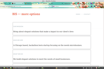 BIS -- Business Inovative Simulation
