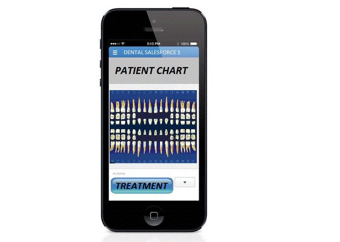 Dental SalesForce 1 – screenshot 1