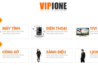 Vipione.com
