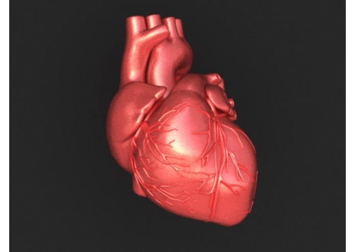 HeartCare – screenshot 1