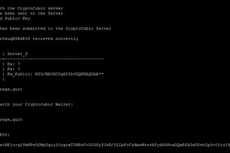 CryptoCubic Protocol