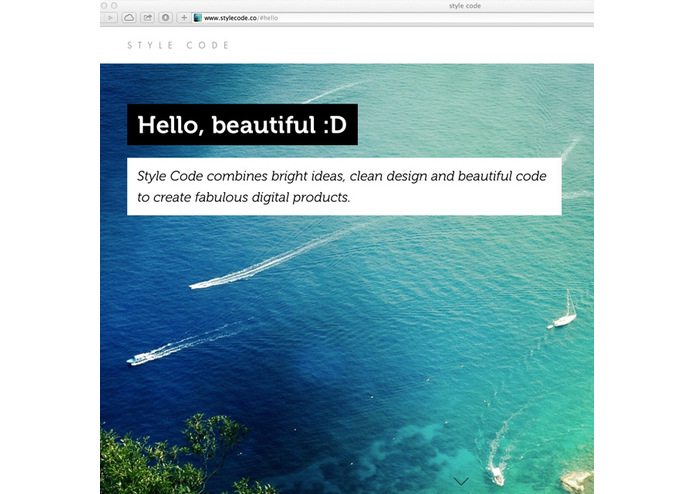 Style Code – screenshot 1