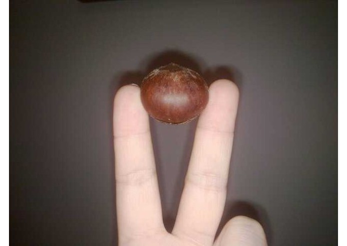 iCoupon – screenshot 1