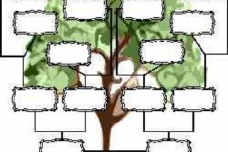Family Graph | Devpost