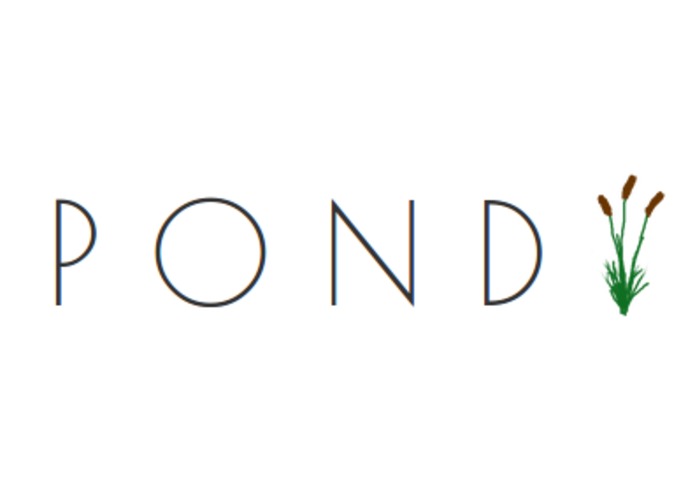 The Pond – screenshot 2