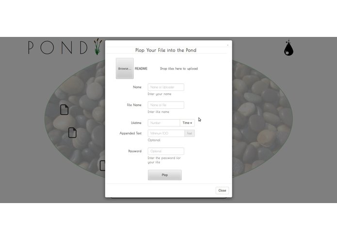 The Pond – screenshot 4