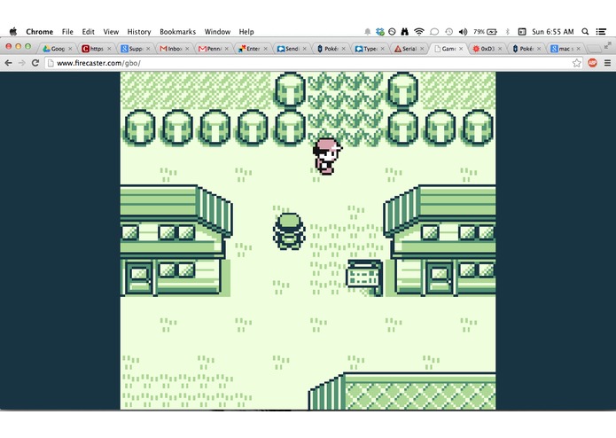 PoKéMMOn – screenshot 1