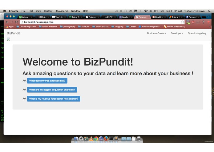 BizPundit  – screenshot 2