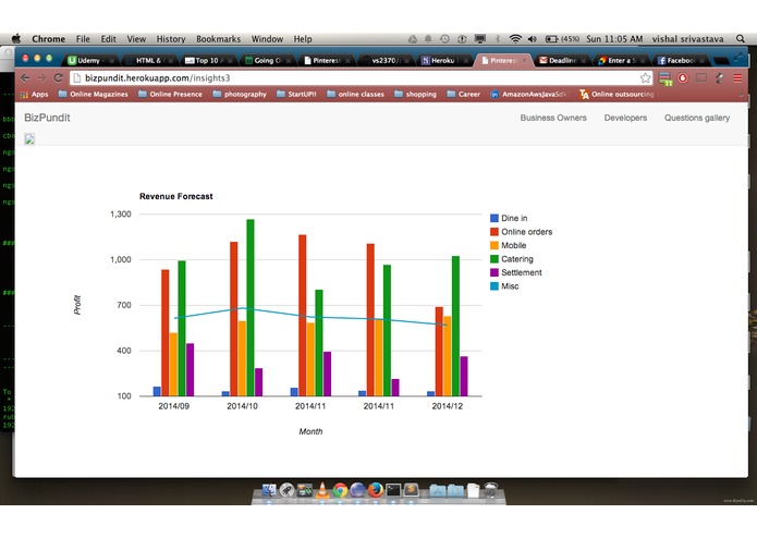 BizPundit  – screenshot 4