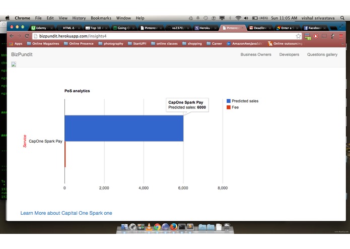 BizPundit  – screenshot 6