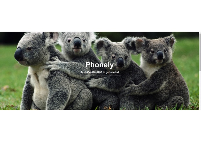 Phonely – screenshot 1