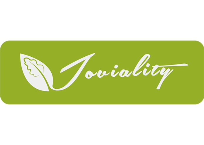 Joviality.me – screenshot 2