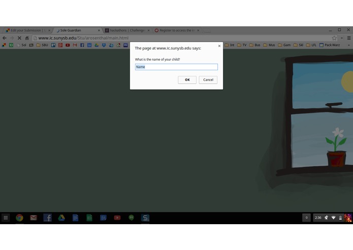 Sole Guardian – screenshot 2