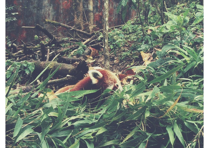 Unhackathon Organizers – screenshot 1