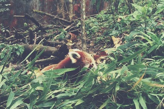 Unhackathon Organizers