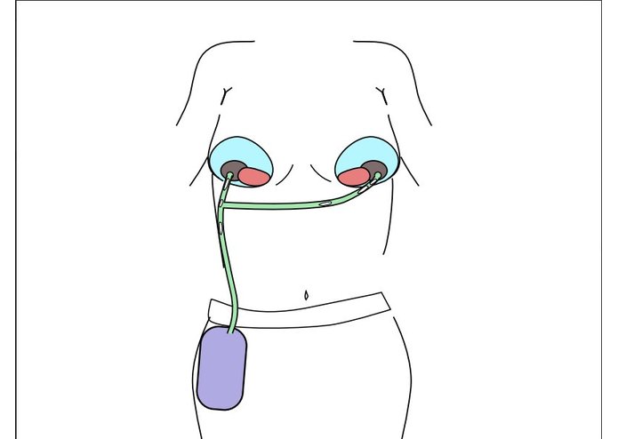 Second Nature – screenshot 1