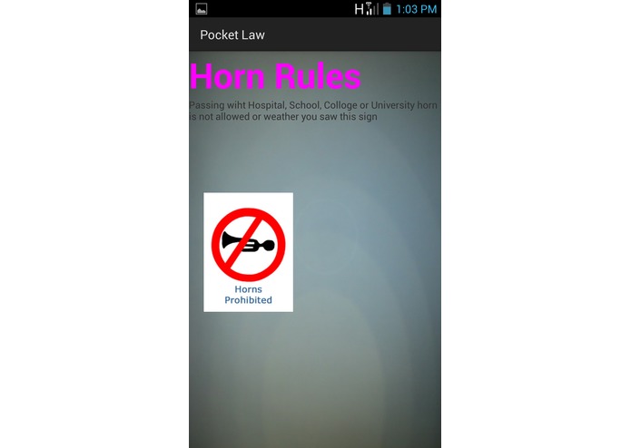Pocket Law – screenshot 6