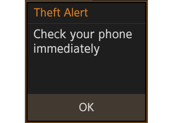 Theft Alert – screenshot 1