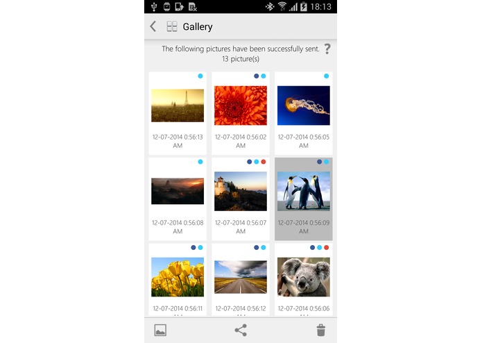 Peeco – screenshot 5