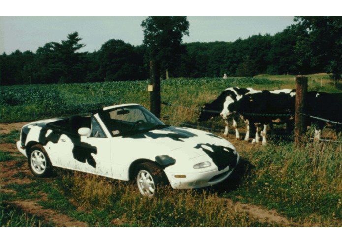 CowHaxxxx – screenshot 1