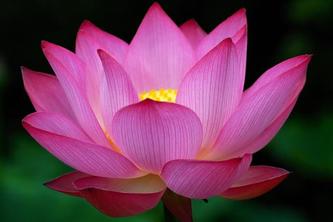 test2