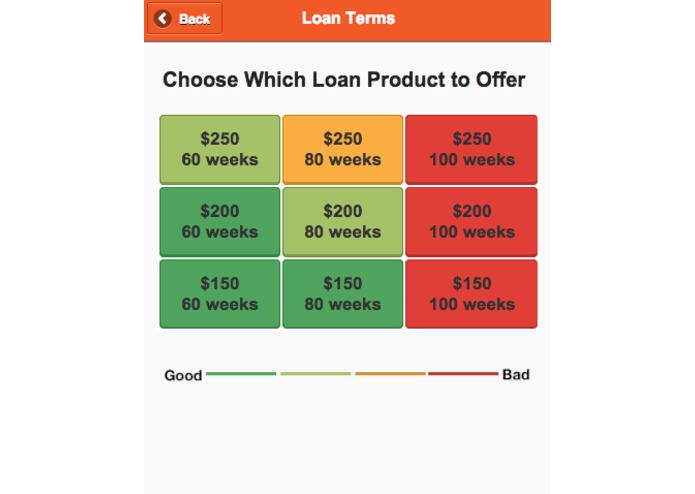 Microfinance Field Decisions – screenshot 1