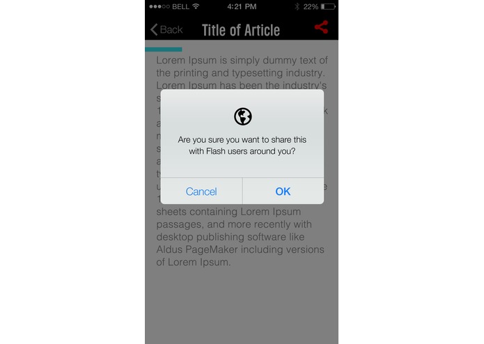 Flash – screenshot 5