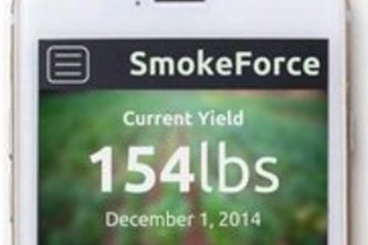 SmokeForce