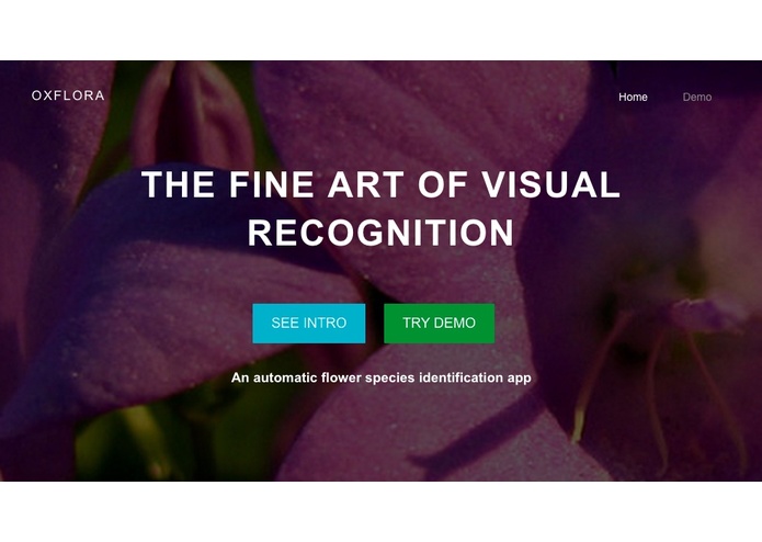 Automatic Flower Identifier – screenshot 1