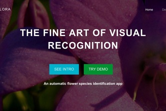 Automatic Flower Identifier