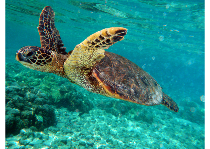 afterburn – screenshot 2