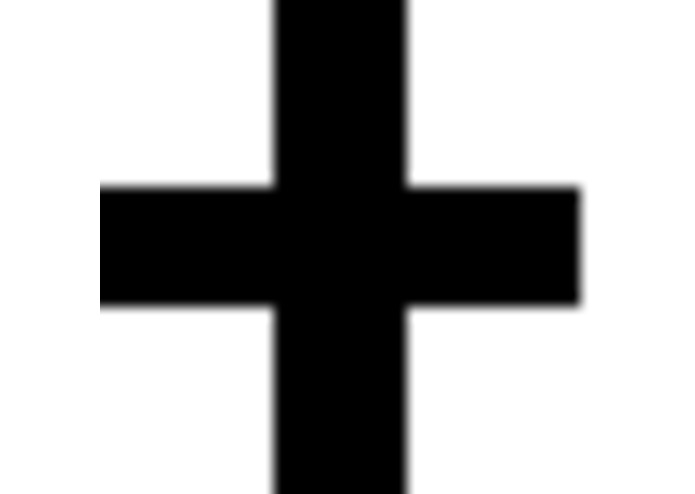 Roachography – screenshot 1