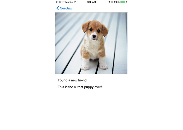 seesaw – screenshot 3